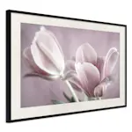 Poster Artgeist Affisch Pink Tulips