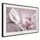 Poster Artgeist Affisch Pink Tulips