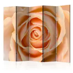 Rumsavdelare Skärmvägg Arkiio Peach-Colored Rose II 225x172 cm