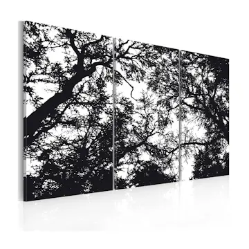 Tavla Arkiio Tät Skog