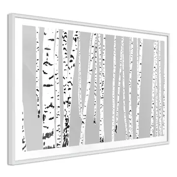 Poster Artgeist Affisch Birch