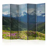 Rumsavdelare Skärmvägg Arkiio Spring Mountain Landscape II 225x172 cm