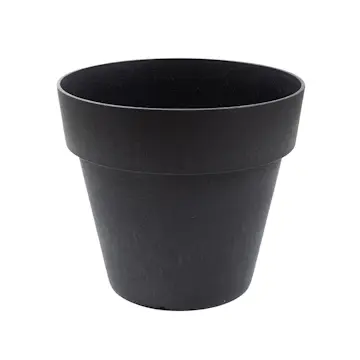 Blomkruka Recal Bariton