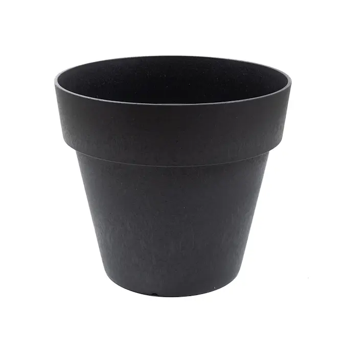 Blomkruka Recal Bariton