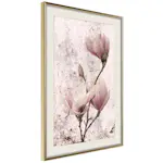 Poster Artgeist Affisch Mature Magnolia