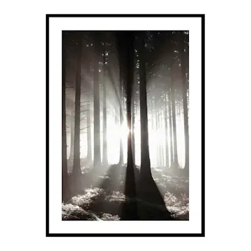 Poster Gallerix Misty Autumn Morning