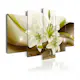 Tavla Arkiio Modern Liliy
