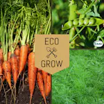 Grönsaksfröer Eco Grow Svenska Klassiker Kit 3-pack