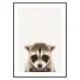 Poster Gallerix Baby Raccoon