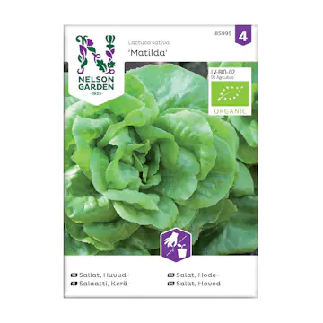 Frö Huvudsallat Nelson Garden Matilda Organic