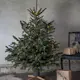 Julgransfot Star Trading Granig 080-72