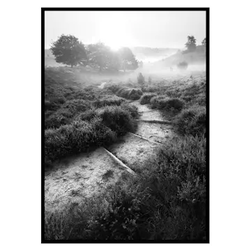 Poster Gallerix Foggy Road
