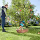 Combipaket Gardena Fruktuppsamlare & Fruktplockare Med Skaft