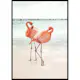 Poster Gallerix Flamingo Beach Duo