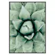 Poster Gallerix Agave Close Up No1