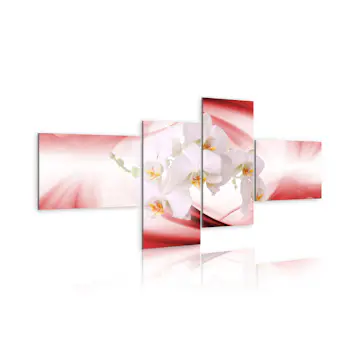 Tavla Arkiio An Orchid In Pink Shade