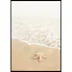 Poster Gallerix Shoreline Starfish