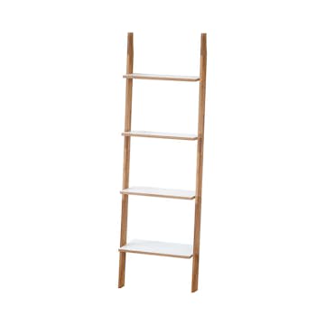 Steghylla In Living Trapp 60