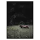 Poster Gallerix Deer in Nature