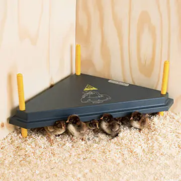 Värmetak Ryom Olba för Kycklingar Hörn