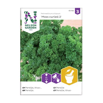 Frö Kruspersilja Nelson Garden Moss curled 2