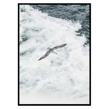 Poster Gallerix Grey Seagull