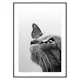 Poster Gallerix Butterfly Cat