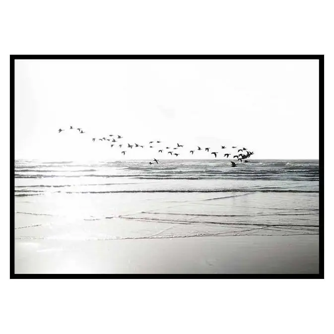 Poster Gallerix Birds Over Beach