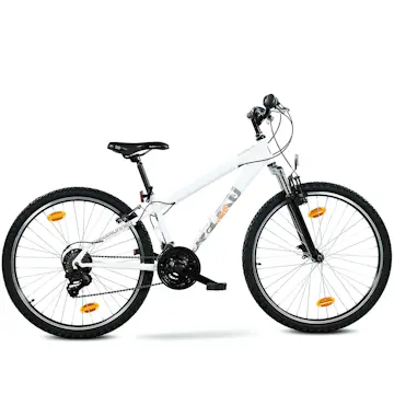 Mountainbike Trekkrunner Ryko Dirt MTB 26 18vxl