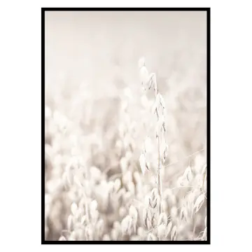 Poster Gallerix Oats