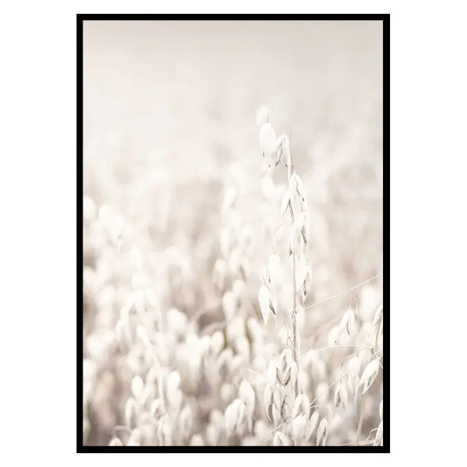 Poster Gallerix Oats