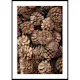 Poster Gallerix Fir Cones Close Up