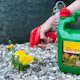 Ogräsbekämpning Neudorff Effekt Spray 3L för Trädgård