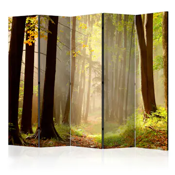 Rumsavdelare Skärmvägg Arkiio Mysterious Forest Path II 225x172 cm