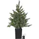 Bordsdekoration Star Trading GranGreyland95 cm 80Lb