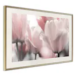 Poster Artgeist Affisch Fabulous Tulips