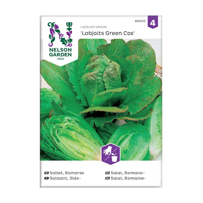 Frö Romersk sallat Nelson Garden Lobjoits Green Cos