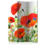 Rumsavdelare Skärmvägg Arkiio Country Poppies 135x172 cm