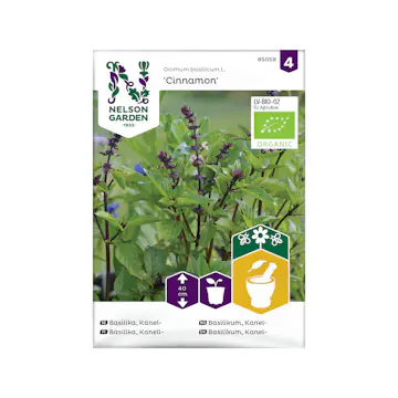 Frö Basilika Kanel Nelson Garden Cinnamon
