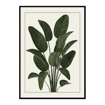 Poster Gallerix Strelitzia
