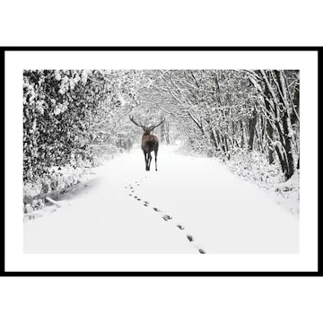 Poster Gallerix Deer Forest Walk