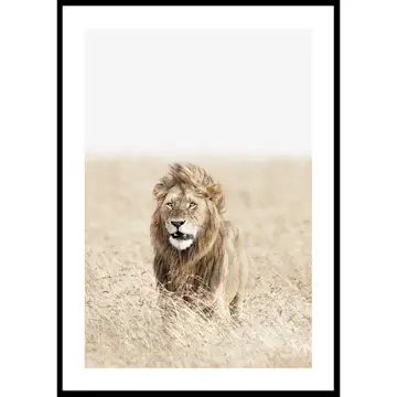 Poster Gallerix Lion On The Savannah
