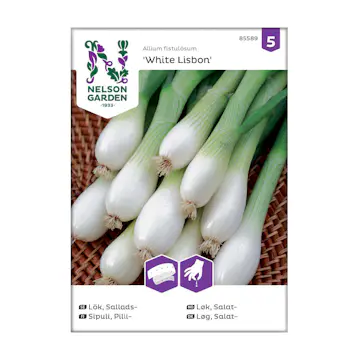Frö Salladslök Nelson Garden White Lisbon Såband