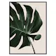 Poster Gallerix Monstera Two