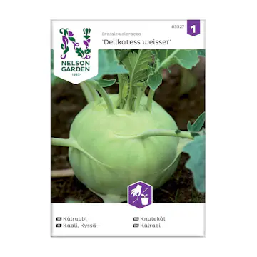 Frö Kålrabbi Nelson Garden Delikatess Weisser
