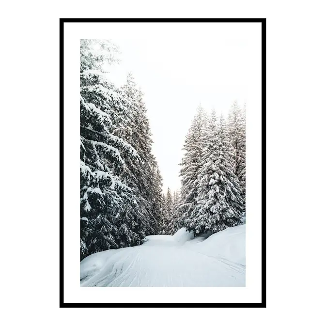 Poster Gallerix Snow Covered Road