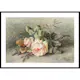 Poster Gallerix Rozen By Margaretha Roosenboom