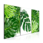 Tavla Arkiio Palm Leaves 3 delar 120x60