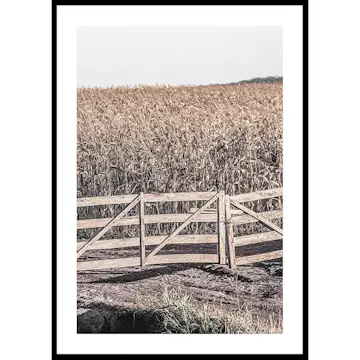 Poster Gallerix Dried Fields