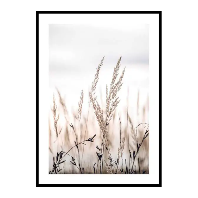 Poster Gallerix Sunset In The Field